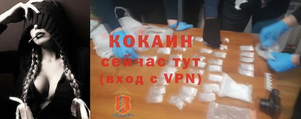 гидра Володарск