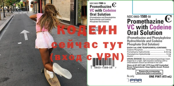 хмурый Вяземский