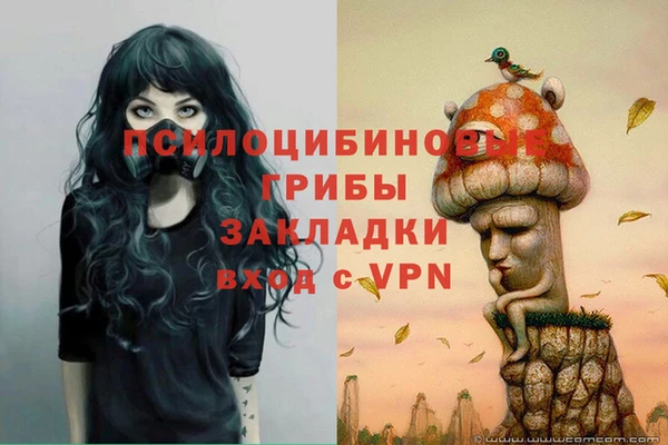 гидра Володарск
