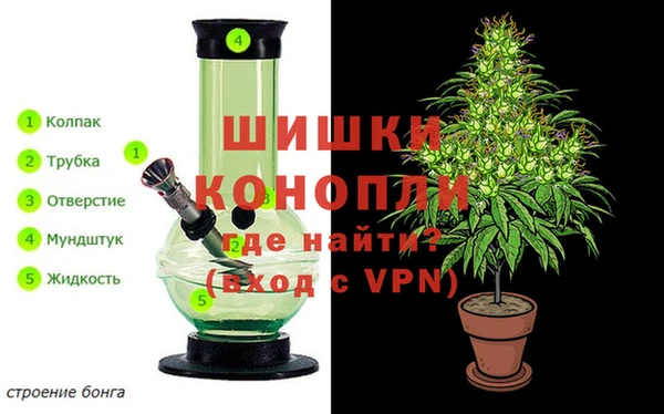 гидра Володарск